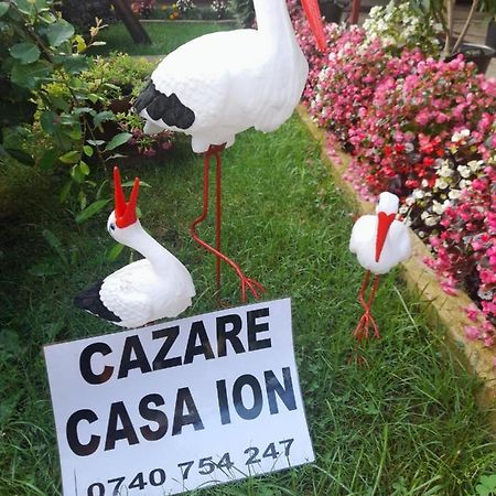 Casa Ion Apartment Horezu Bagian luar foto