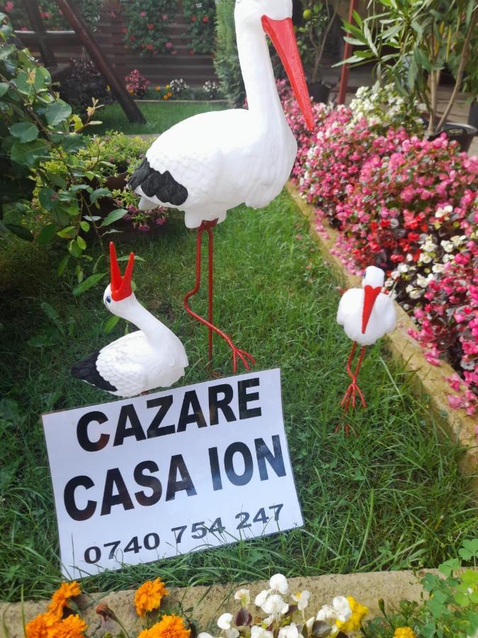Casa Ion Apartment Horezu Bagian luar foto
