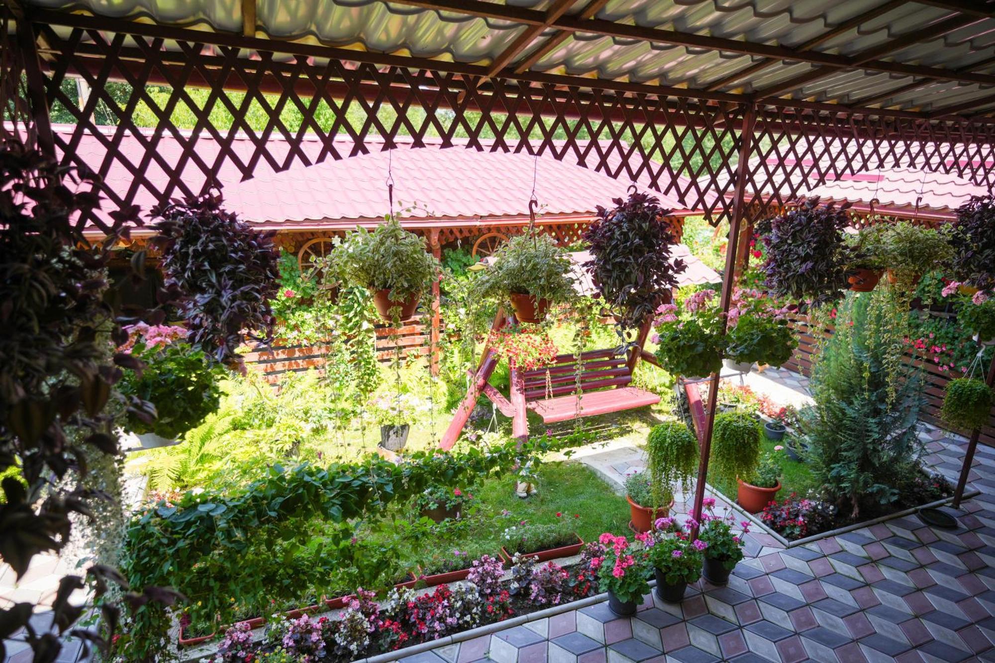 Casa Ion Apartment Horezu Bagian luar foto
