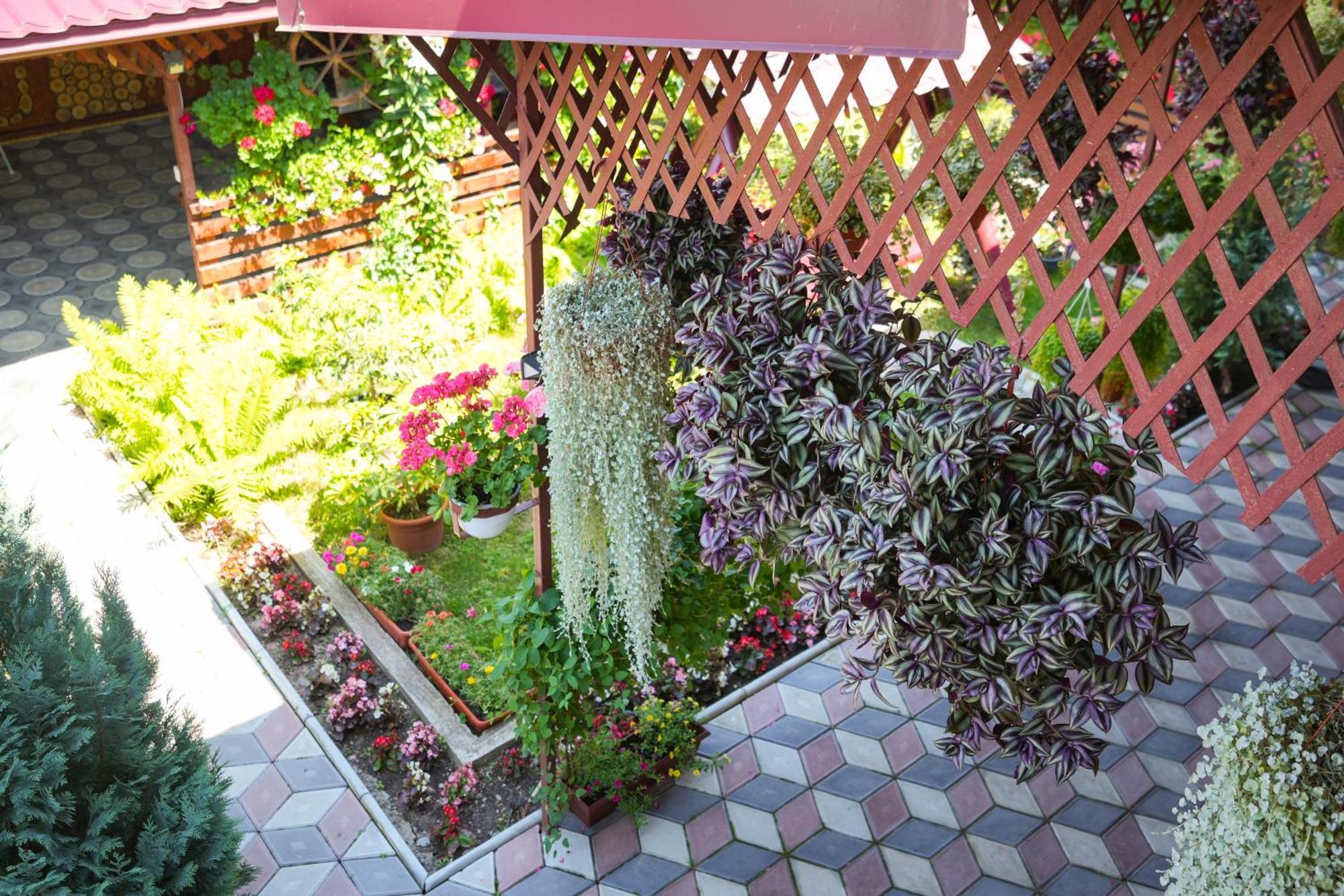 Casa Ion Apartment Horezu Bagian luar foto