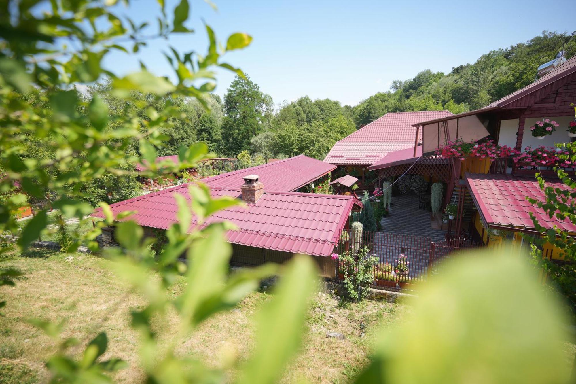 Casa Ion Apartment Horezu Bagian luar foto