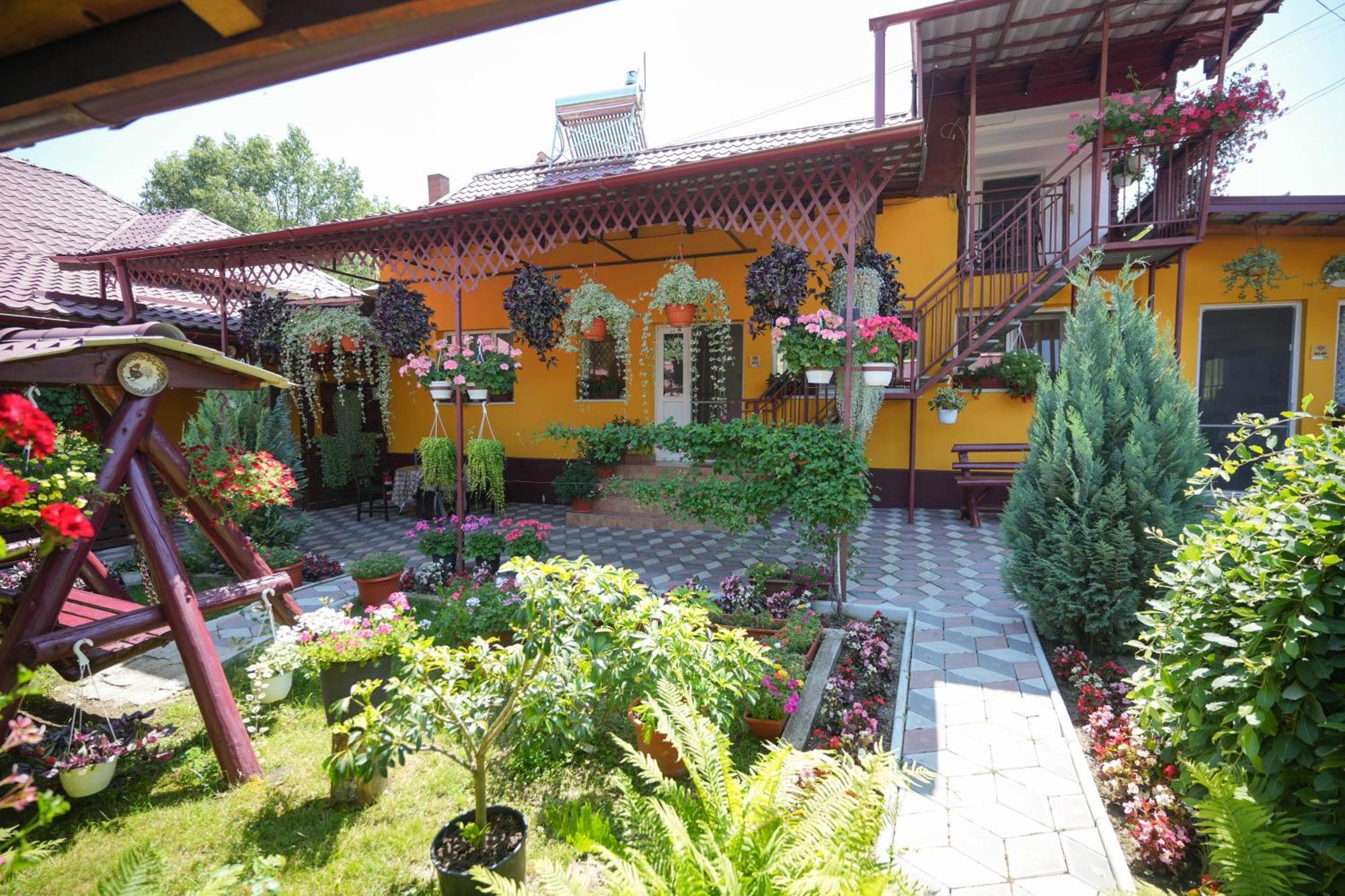 Casa Ion Apartment Horezu Bagian luar foto