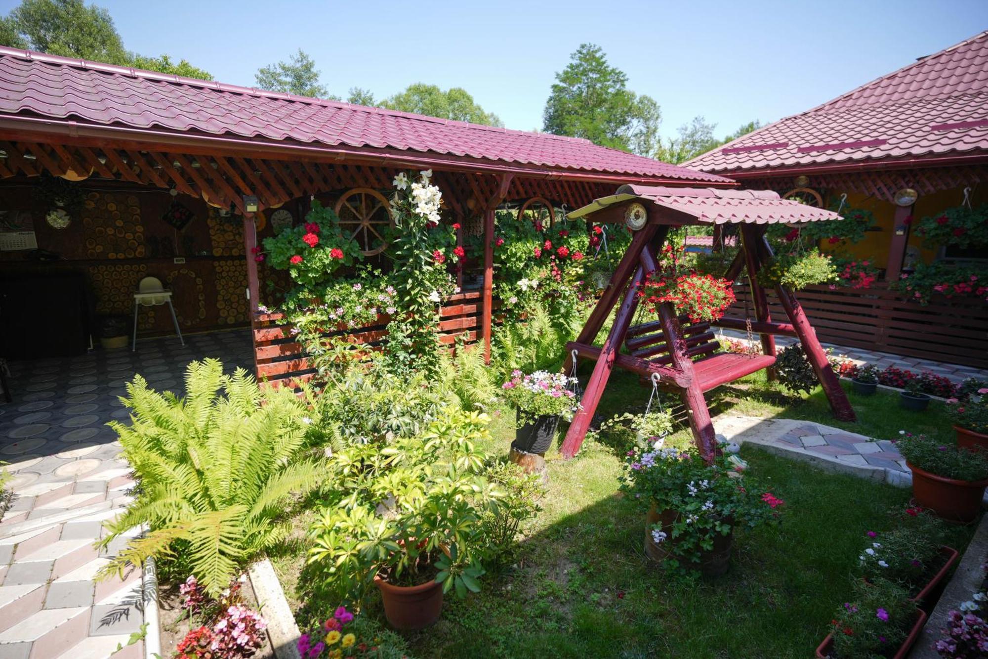 Casa Ion Apartment Horezu Bagian luar foto