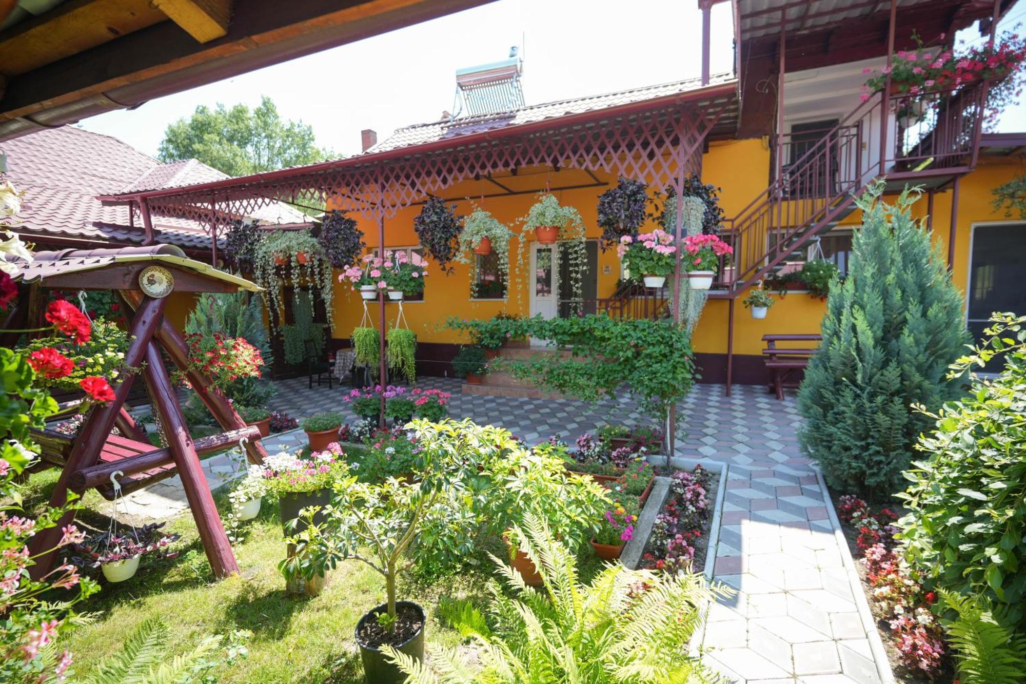 Casa Ion Apartment Horezu Bagian luar foto