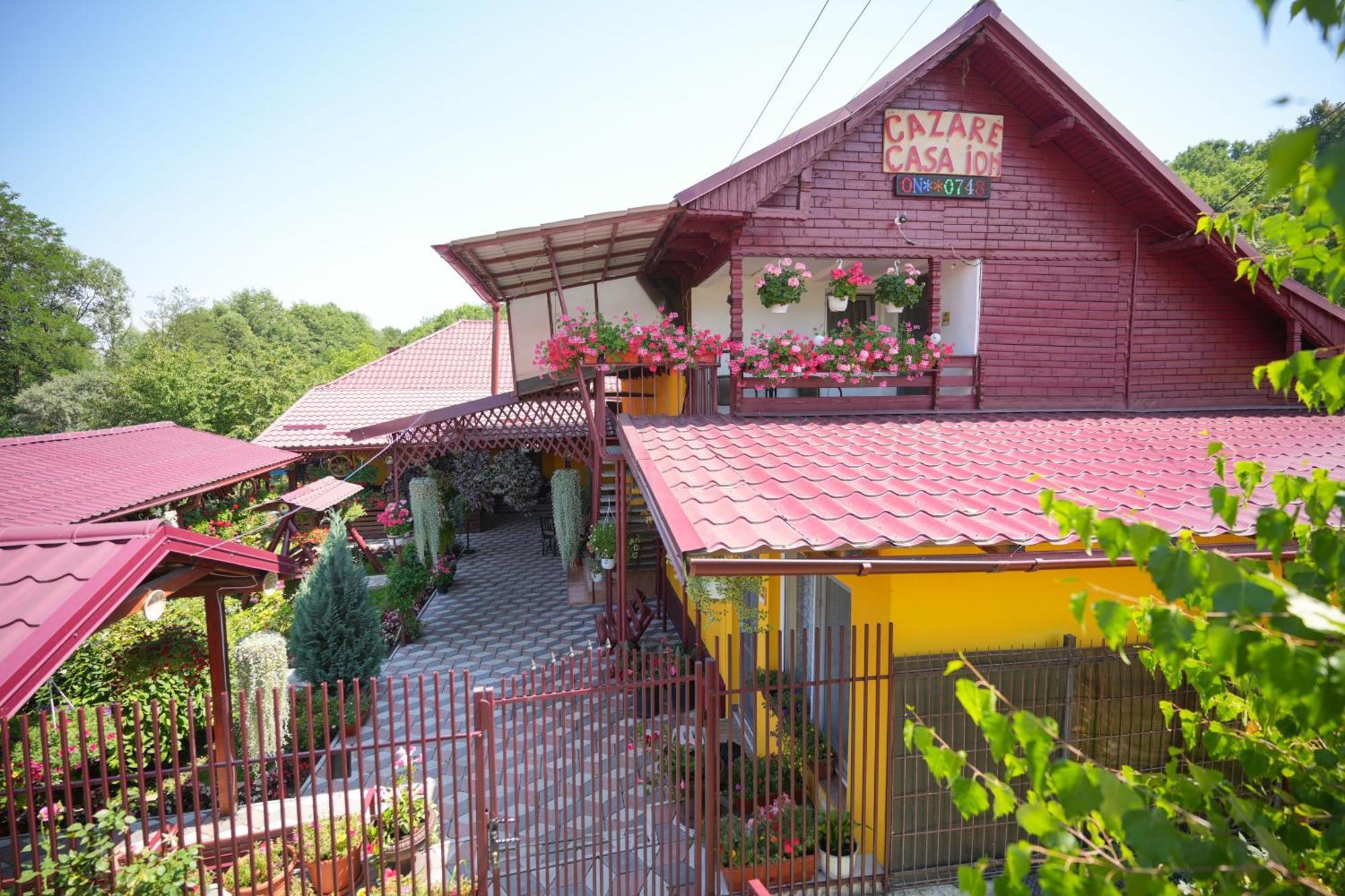 Casa Ion Apartment Horezu Bagian luar foto