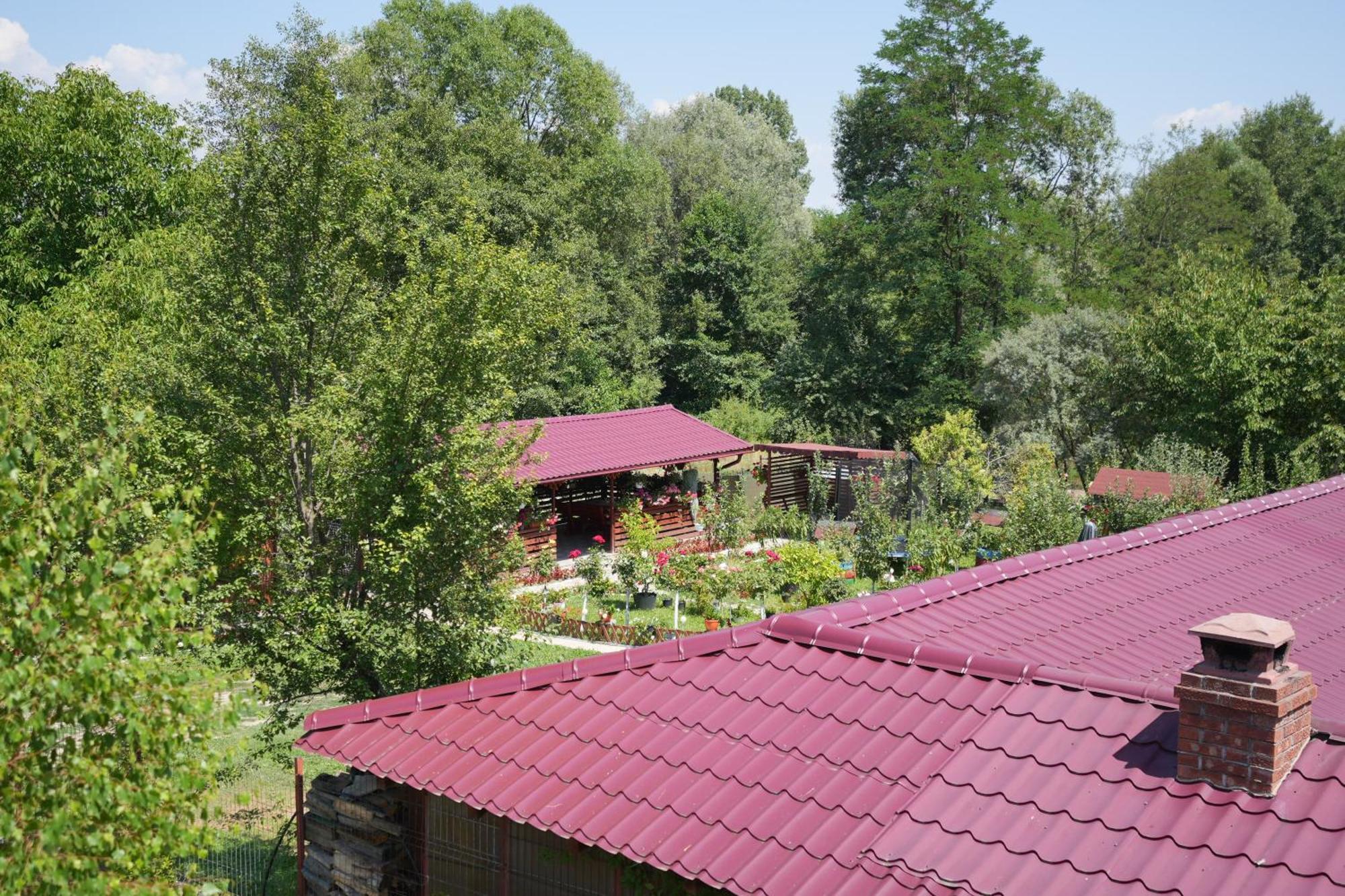 Casa Ion Apartment Horezu Bagian luar foto