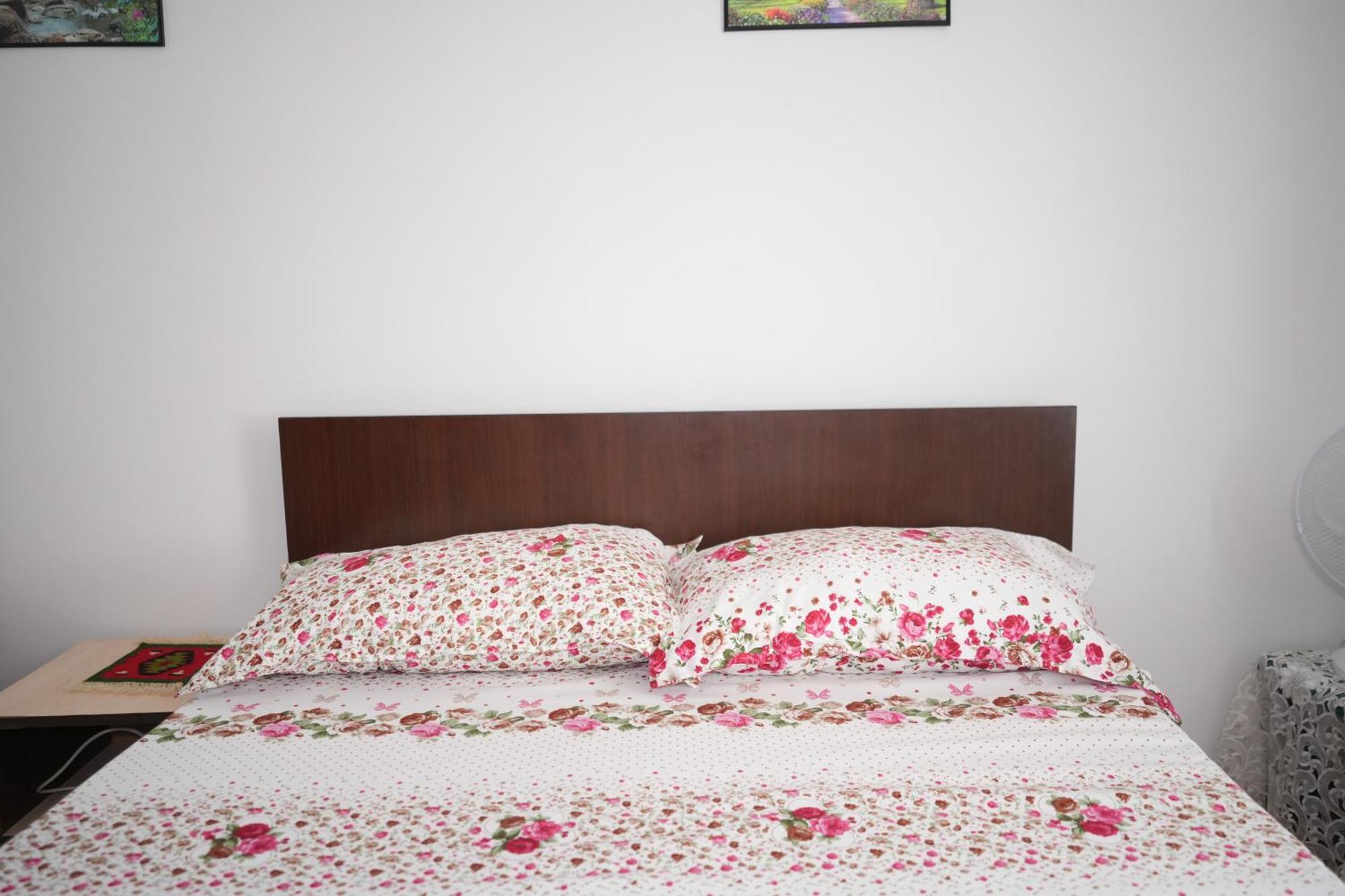 Casa Ion Apartment Horezu Bagian luar foto